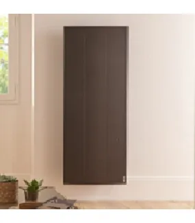 Atlantic 503916 | Radiateur connecté Oniris 1000W Vertic. - Gris