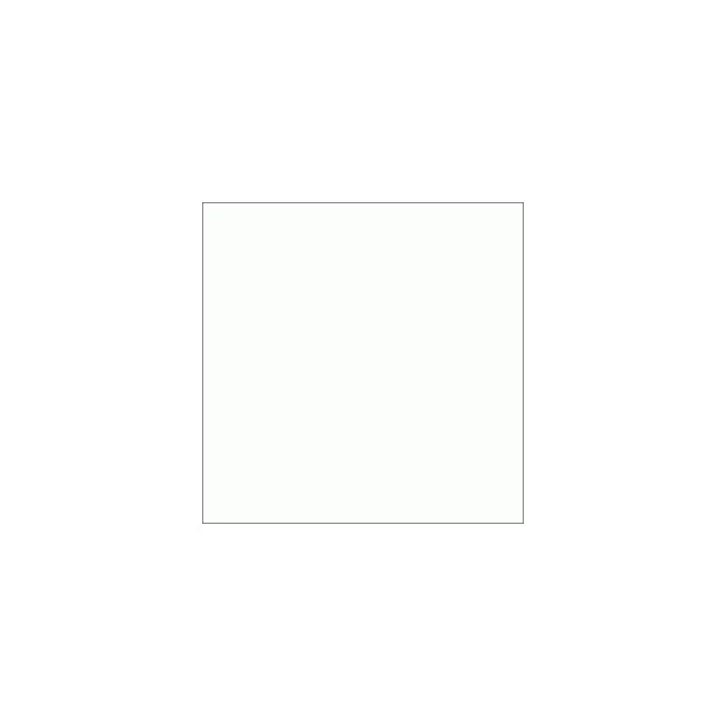 Kaldewei baignoire acier émaillé  Ambiente  Classic Duo 114 1900x900mm: 291534013001